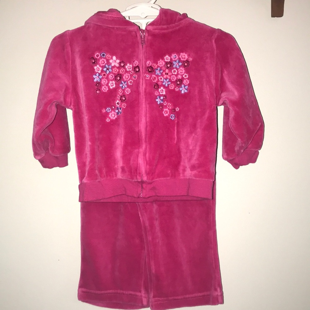 Baby Girls Hoodie/Pant Set